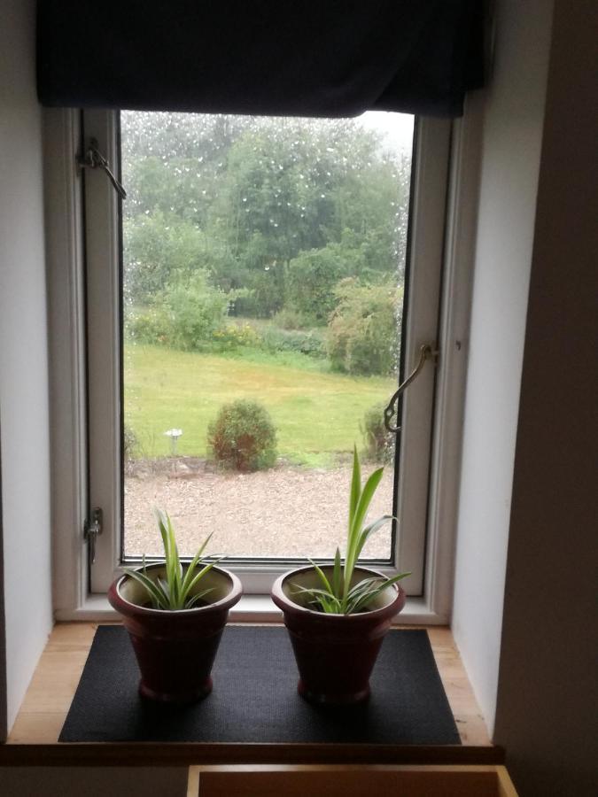 Safine B&B Fåborg Extérieur photo